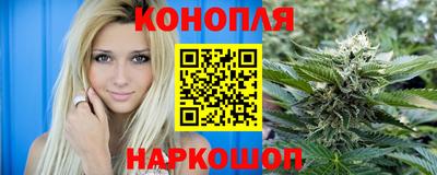молекула духа Новозыбков
